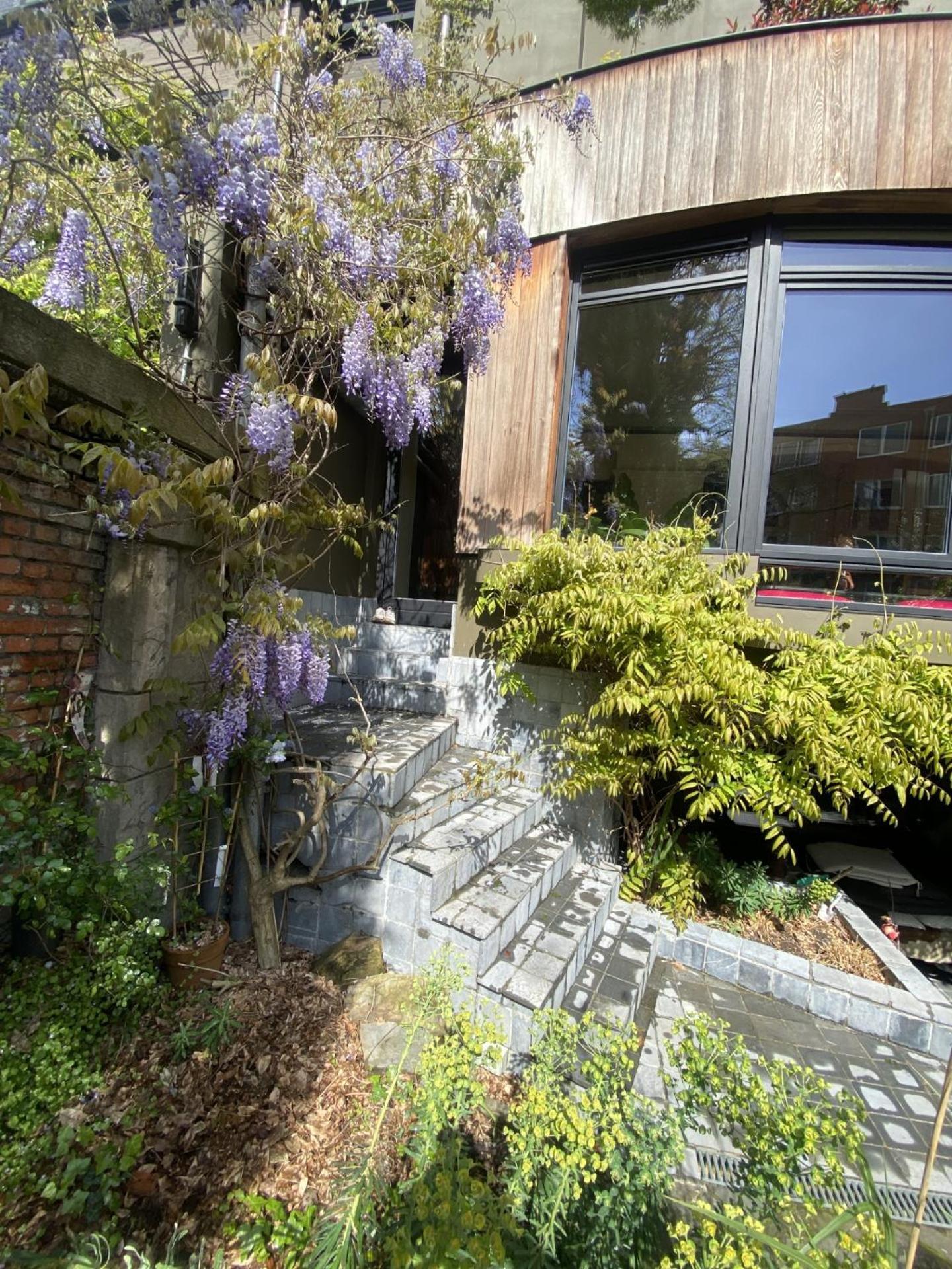 The Museum - Au Lit, Jerome! Bed & Breakfast Antwerp Exterior photo